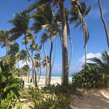 Art Villa Dominicana Пунта-Кана Экстерьер фото