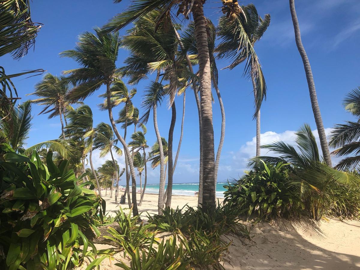 Art Villa Dominicana Пунта-Кана Экстерьер фото